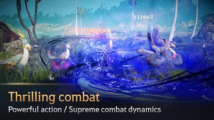 Black Desert Mobile Codes (PEARL ABYSS)