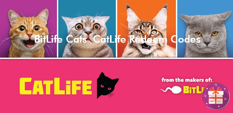 BitLife Cats CatLife Codes (Candywriter, LLC)